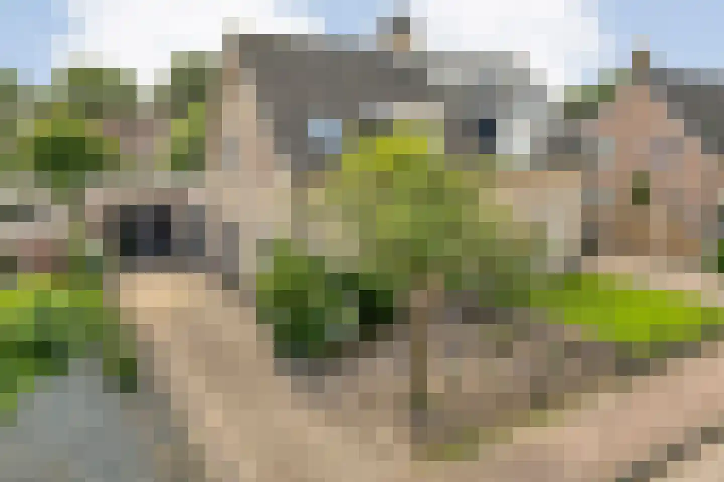 Nieuwstraat 20 Alteveer thumbnail 51