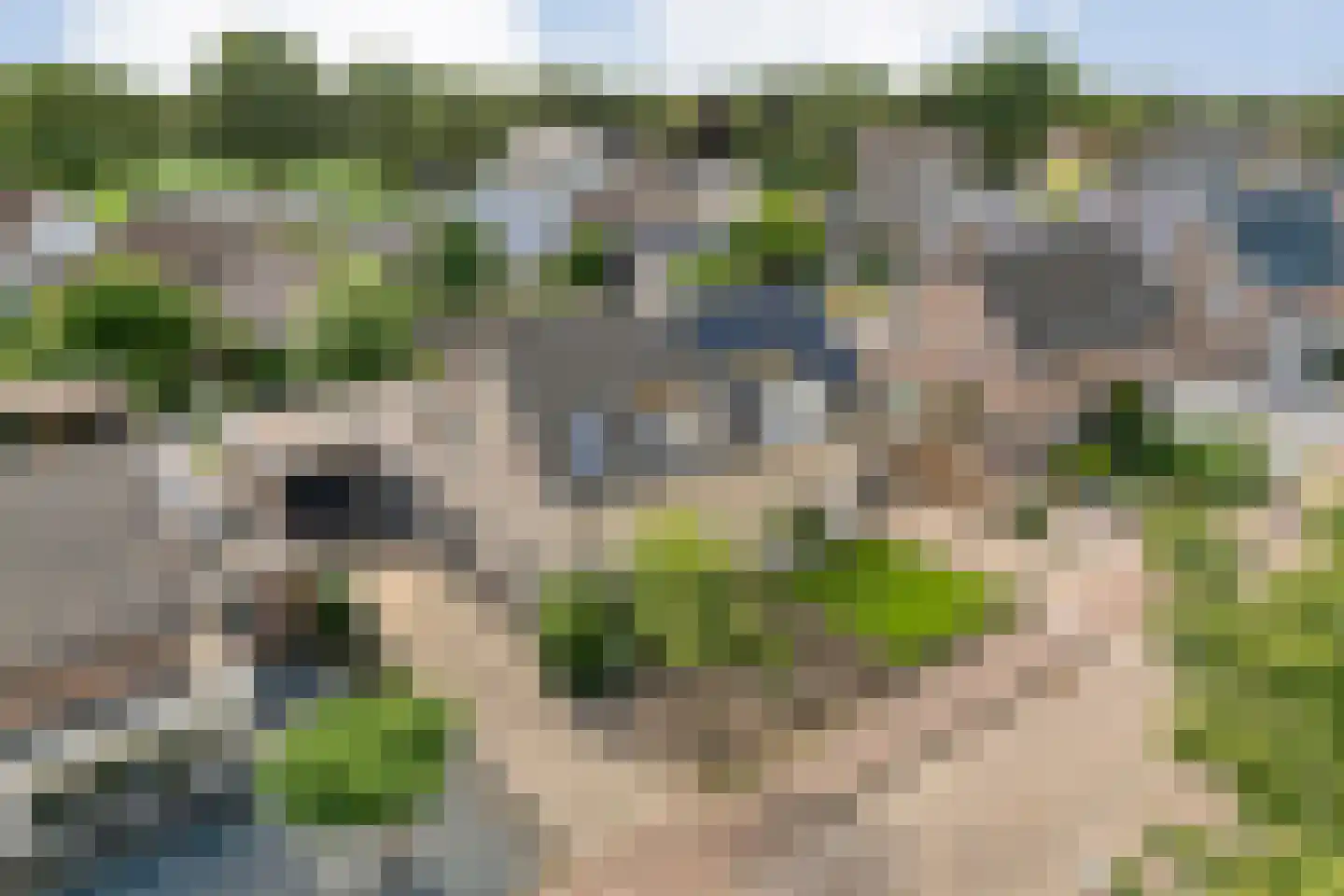 Nieuwstraat 20 Alteveer thumbnail 53