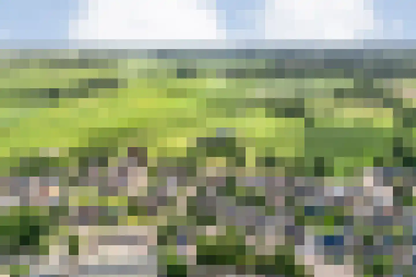 Nieuwstraat 20 Alteveer thumbnail 55