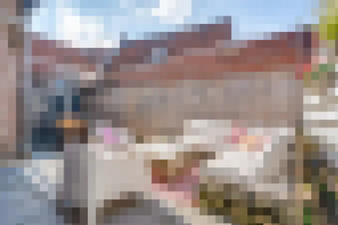 Nieuwstraat 20 Hasselt thumbnail 21