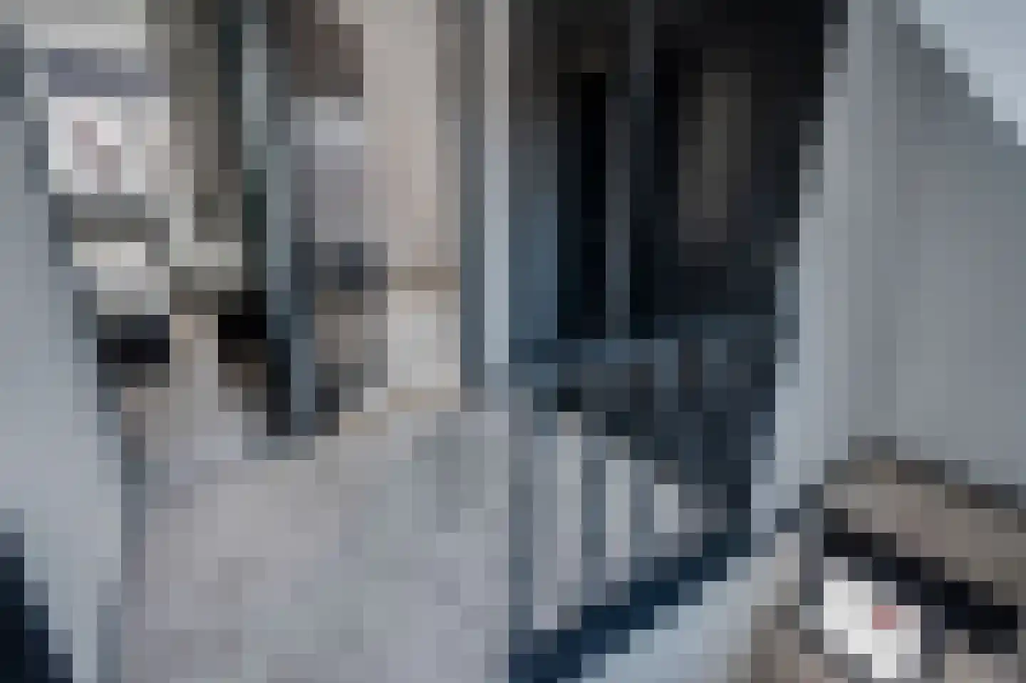 Nieuwstraat 20 Hasselt thumbnail 26