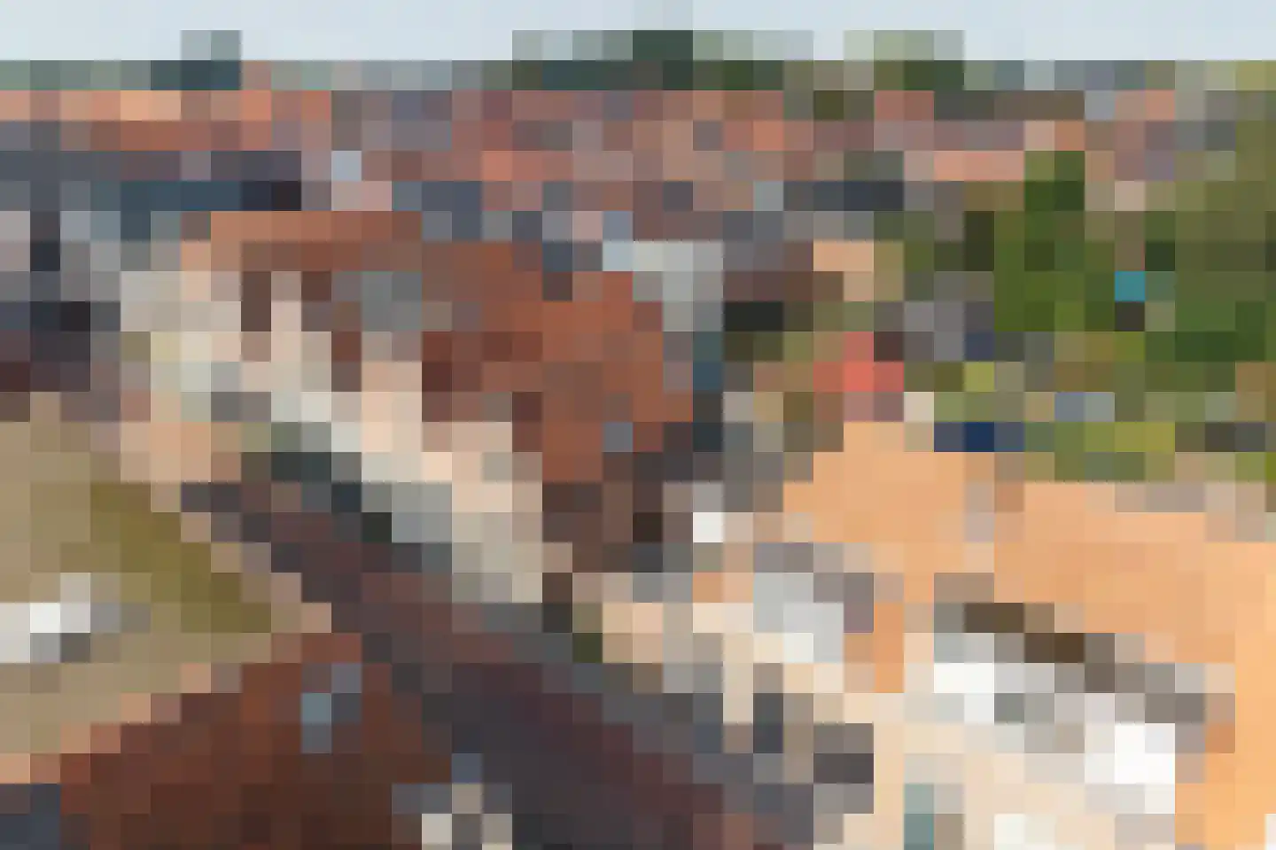 Nieuwstraat 20 Hasselt thumbnail 36