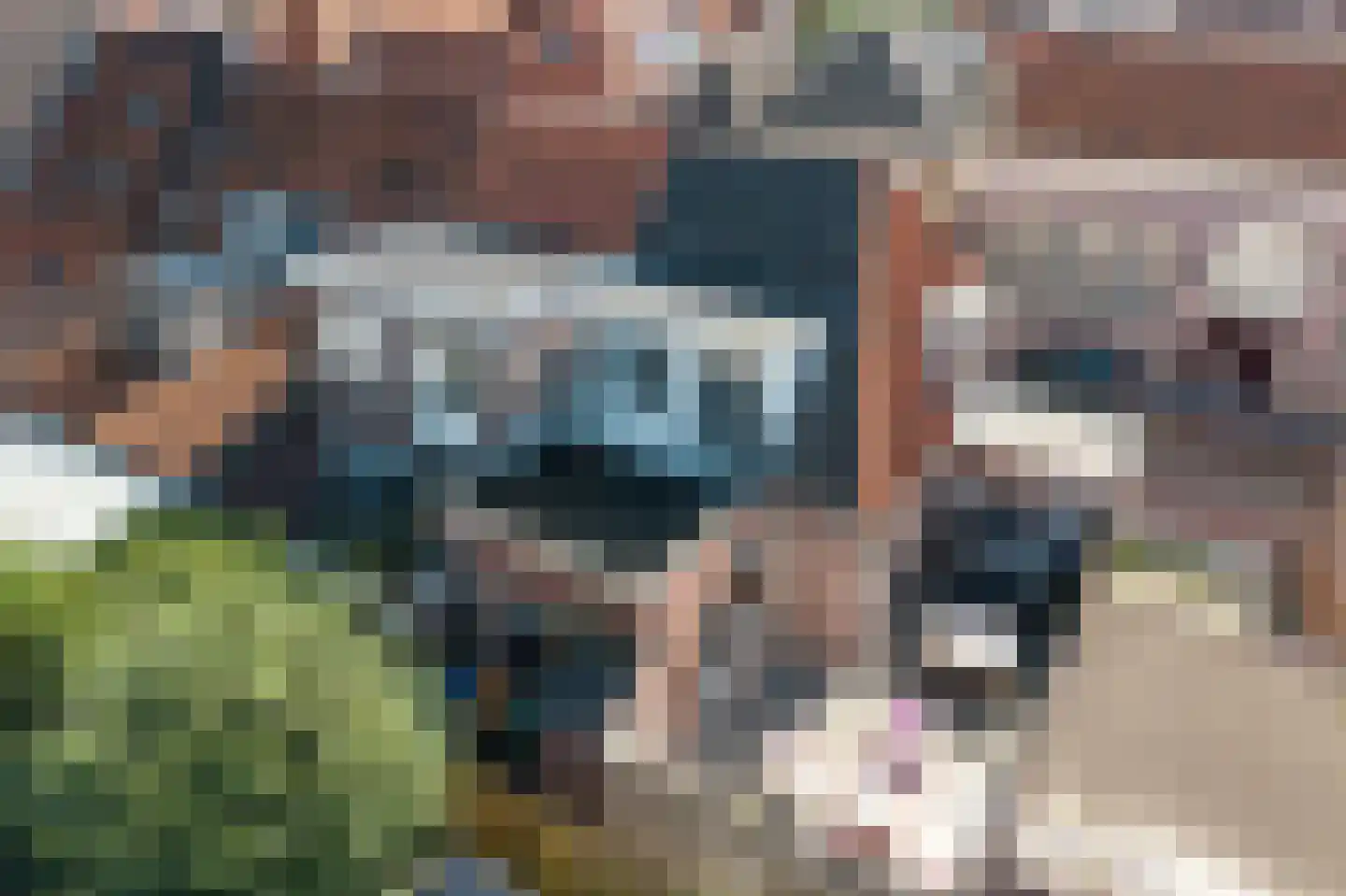Nieuwstraat 20 Hasselt thumbnail 37