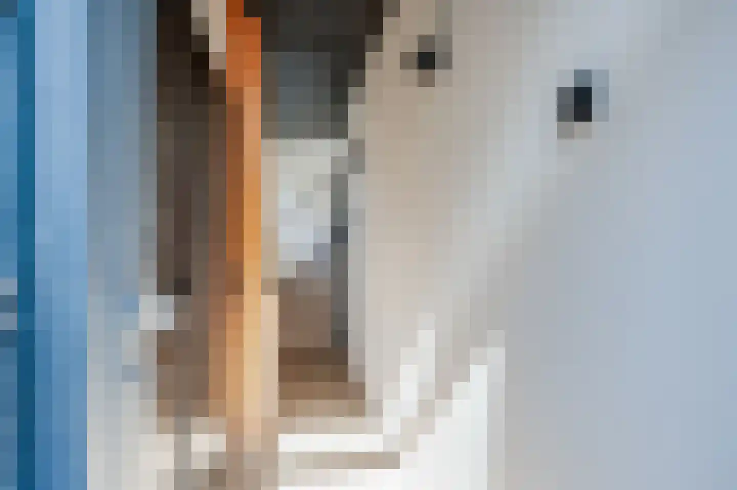 Nieuwstraat 20 Hasselt thumbnail 7