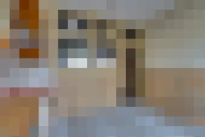 Nieuwstraat 20 Purmerend thumbnail 24