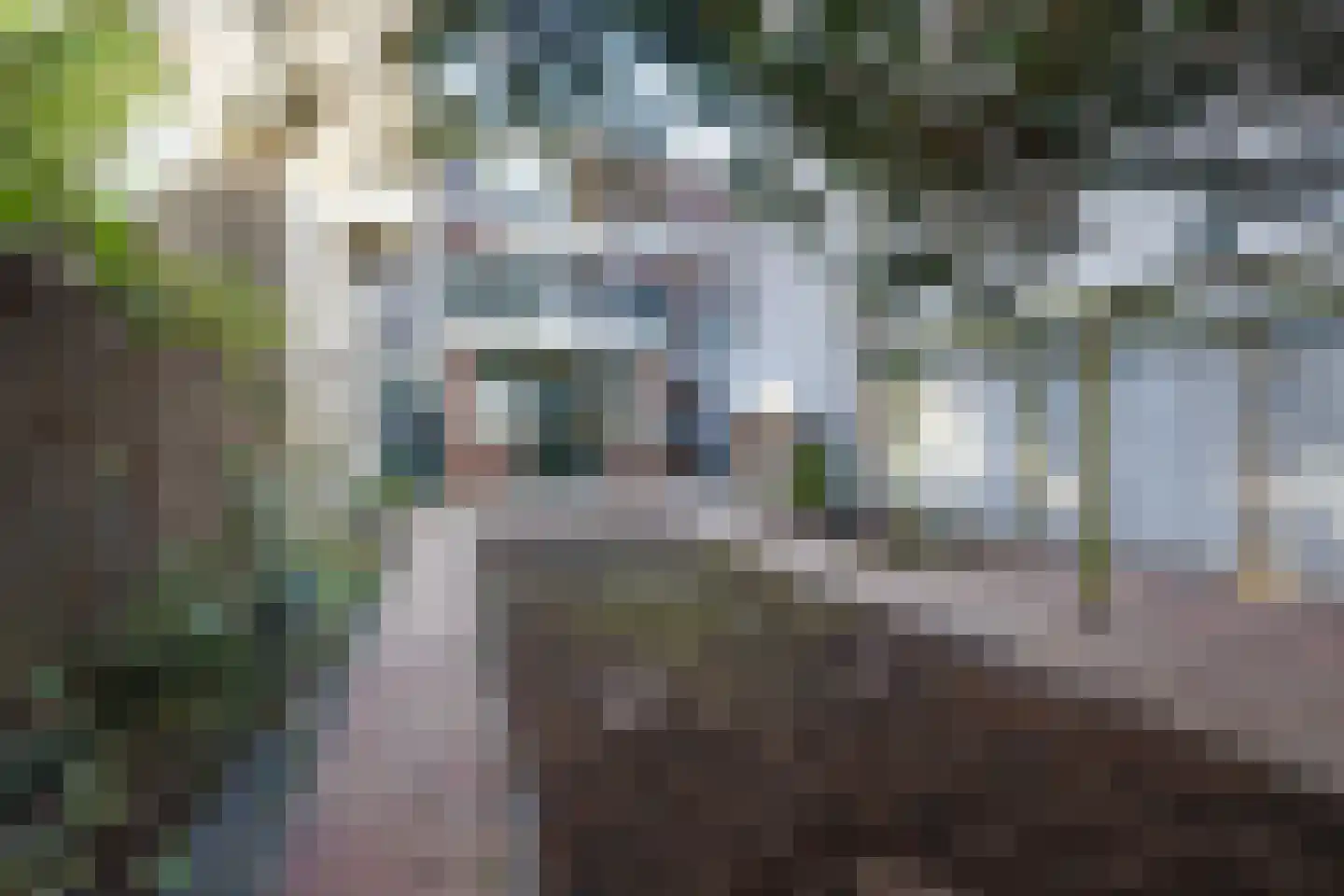 Nieuwstraat 20 Purmerend thumbnail 34