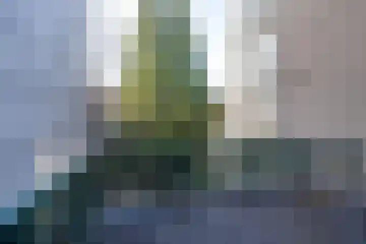 Nieuwstraat 20 Purmerend thumbnail 46