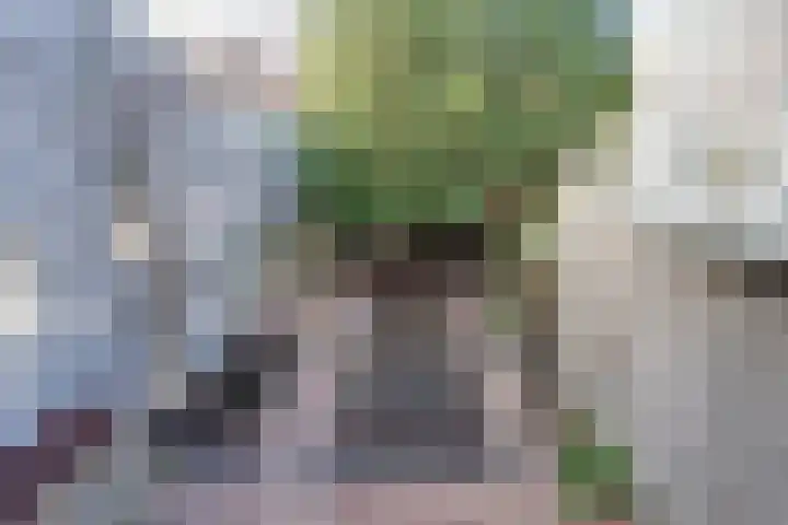 Nieuwstraat 20 Purmerend thumbnail 48