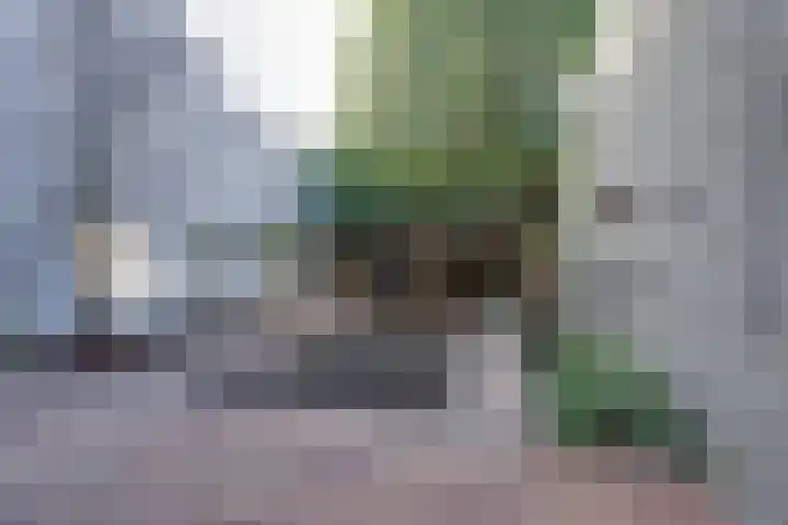 Nieuwstraat 20 Purmerend thumbnail 8