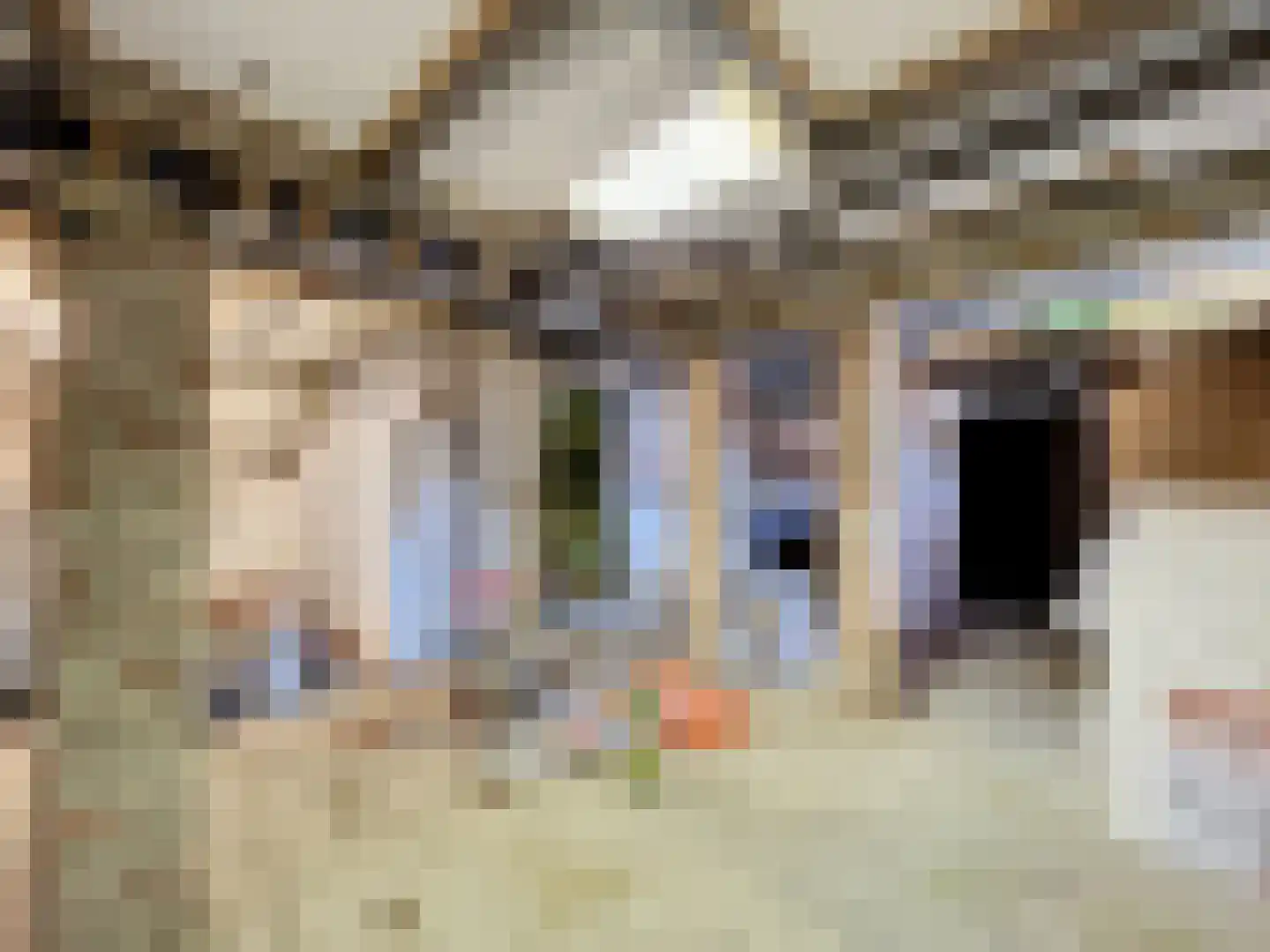 Nieuwstraat 20 Terneuzen thumbnail 14