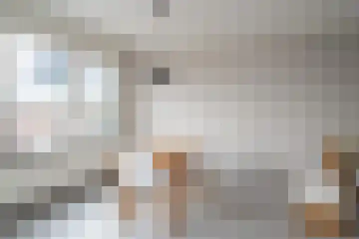 Nieuwstraat 200 Rotterdam thumbnail 10