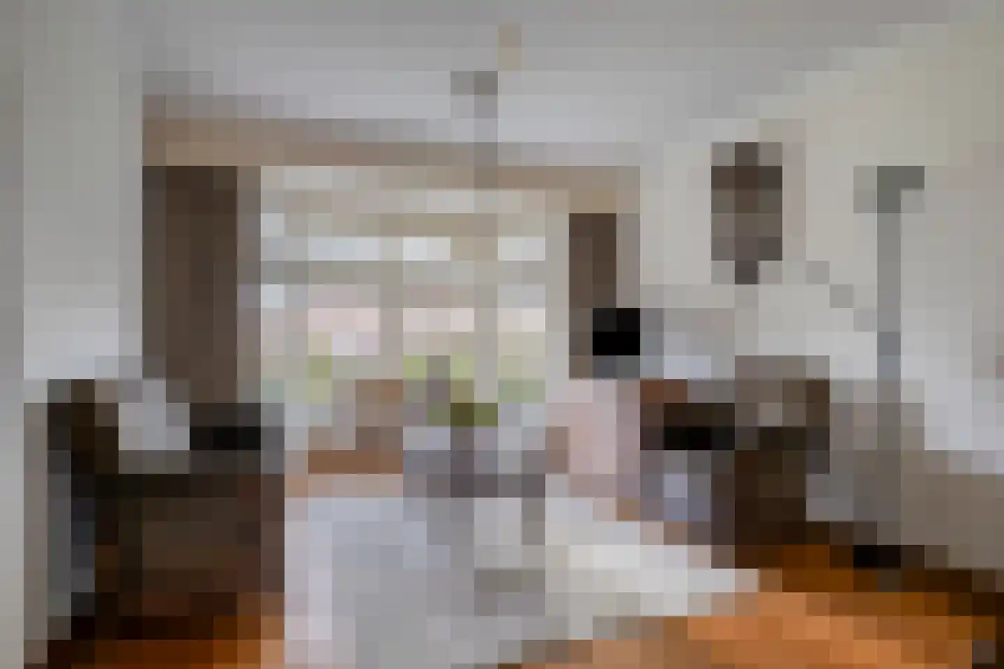 Nieuwstraat 21 Beek en Donk thumbnail 13