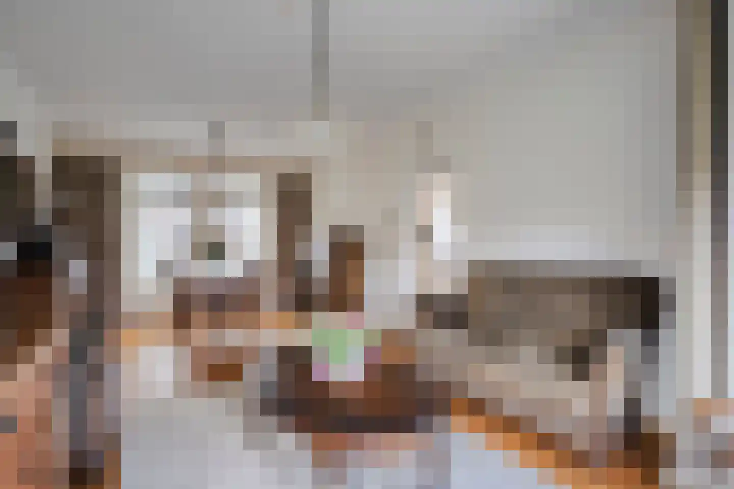 Nieuwstraat 21 Beek en Donk thumbnail 14