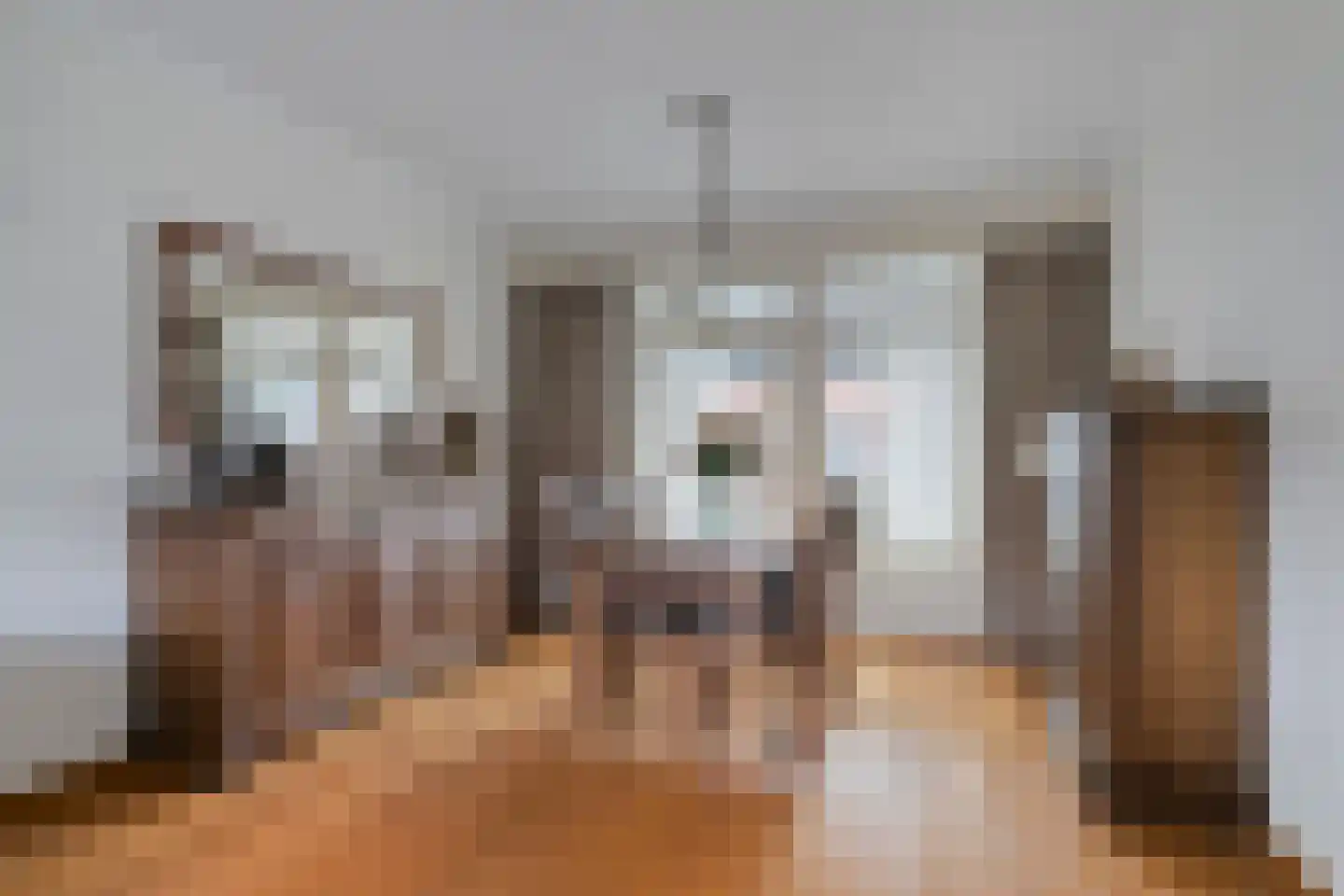 Nieuwstraat 21 Beek en Donk thumbnail 17