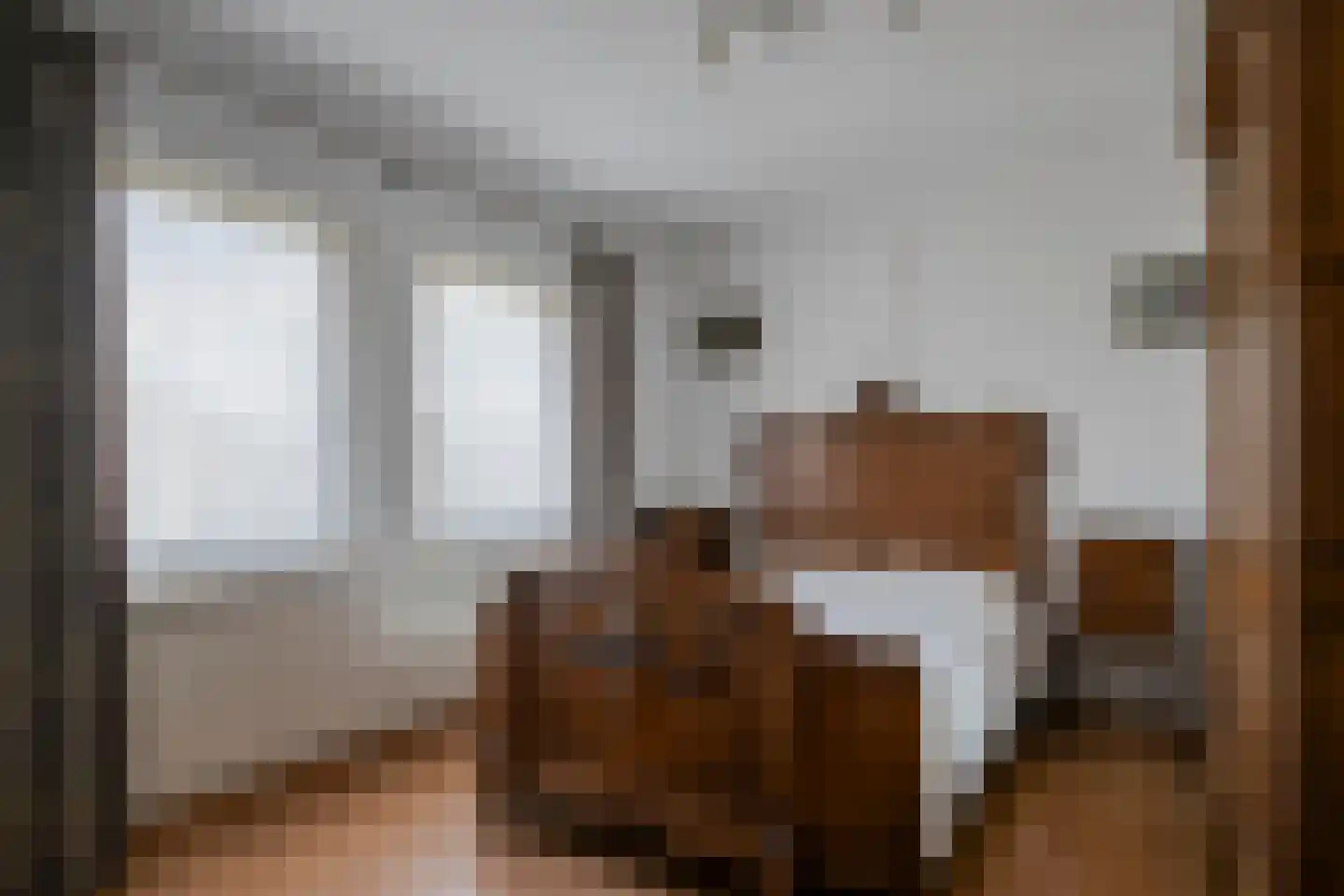 Nieuwstraat 21 Beek en Donk thumbnail 25