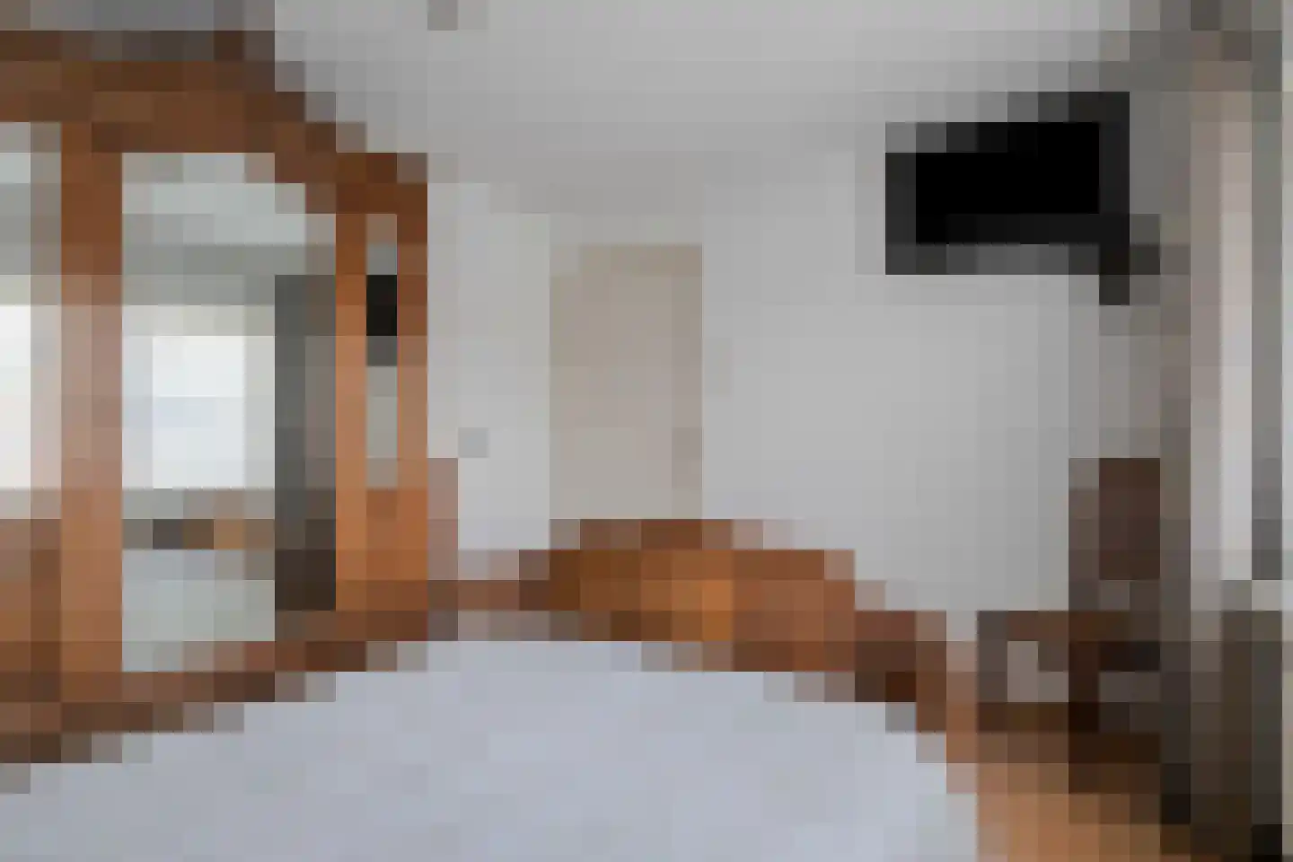 Nieuwstraat 21 Beek en Donk thumbnail 26