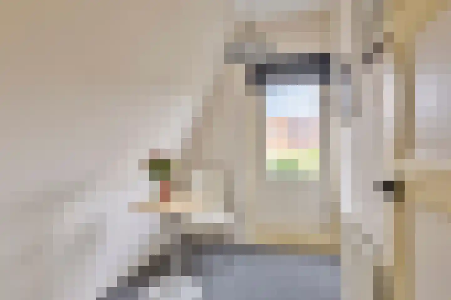 Nieuwstraat 21 Best thumbnail 16
