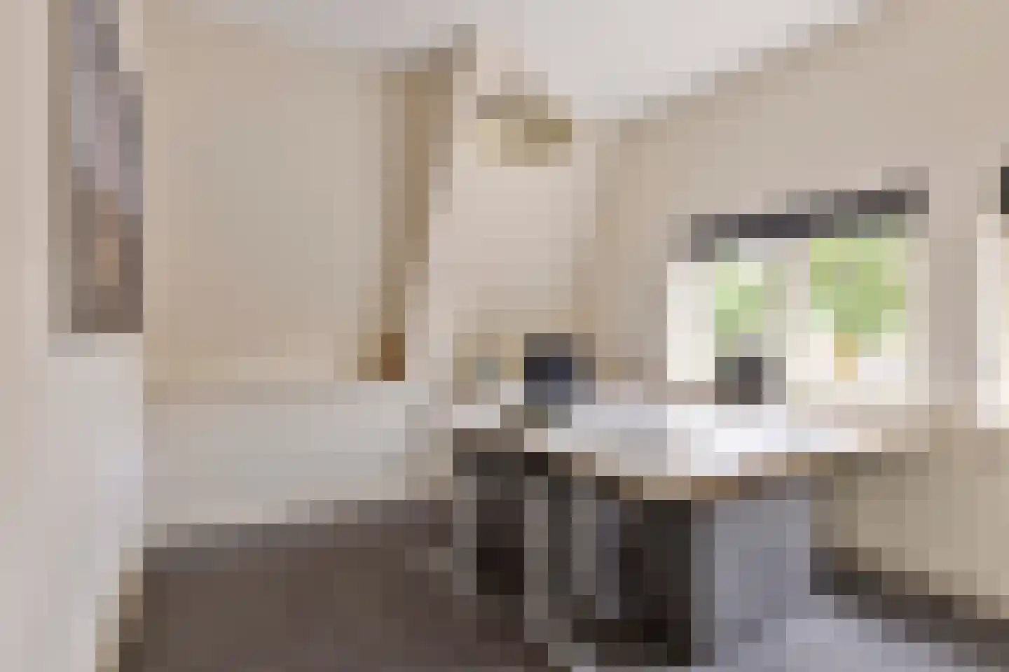 Nieuwstraat 21 Best thumbnail 20