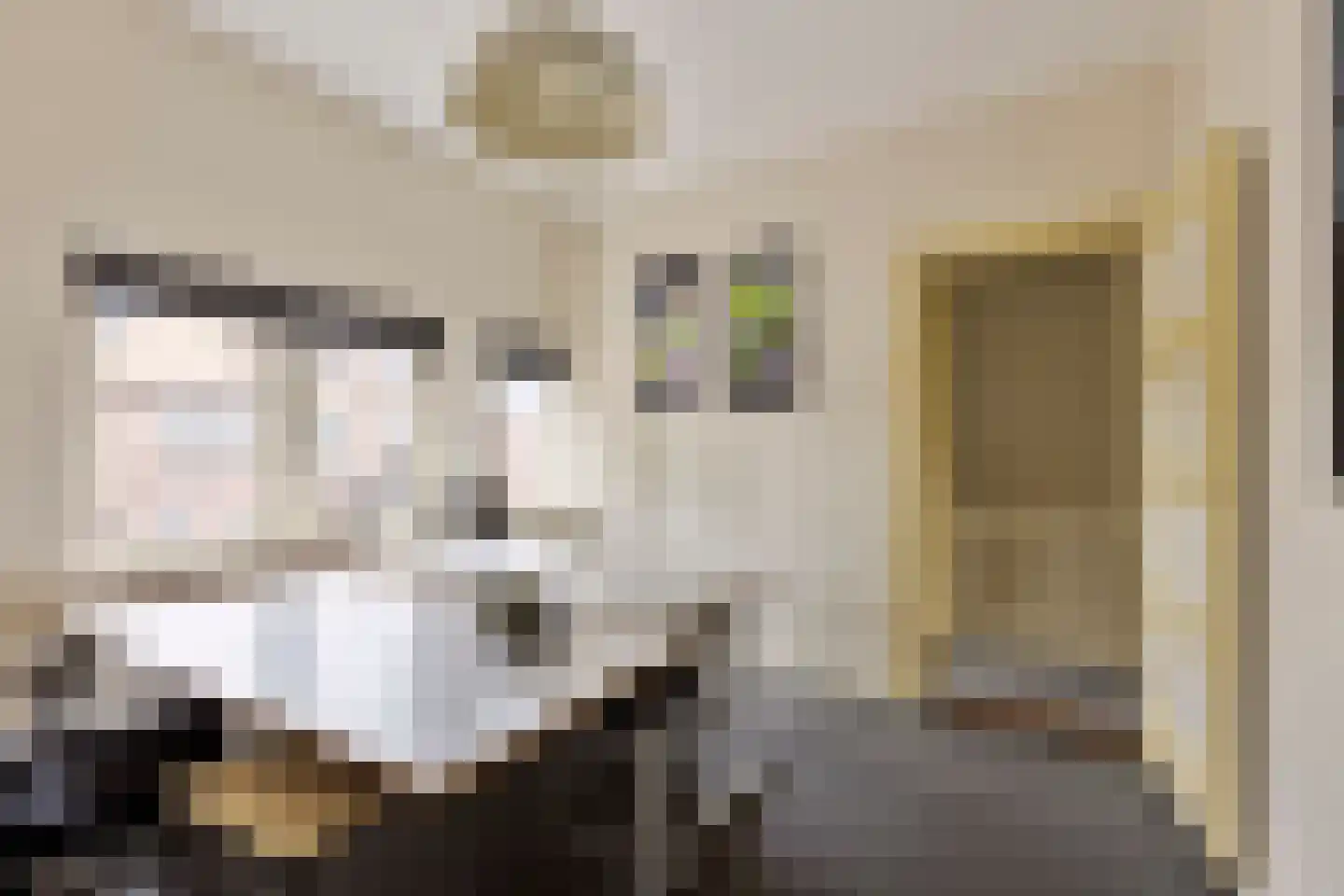 Nieuwstraat 21 Best thumbnail 21