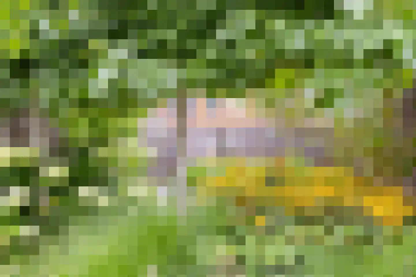 Nieuwstraat 21 Best thumbnail 24