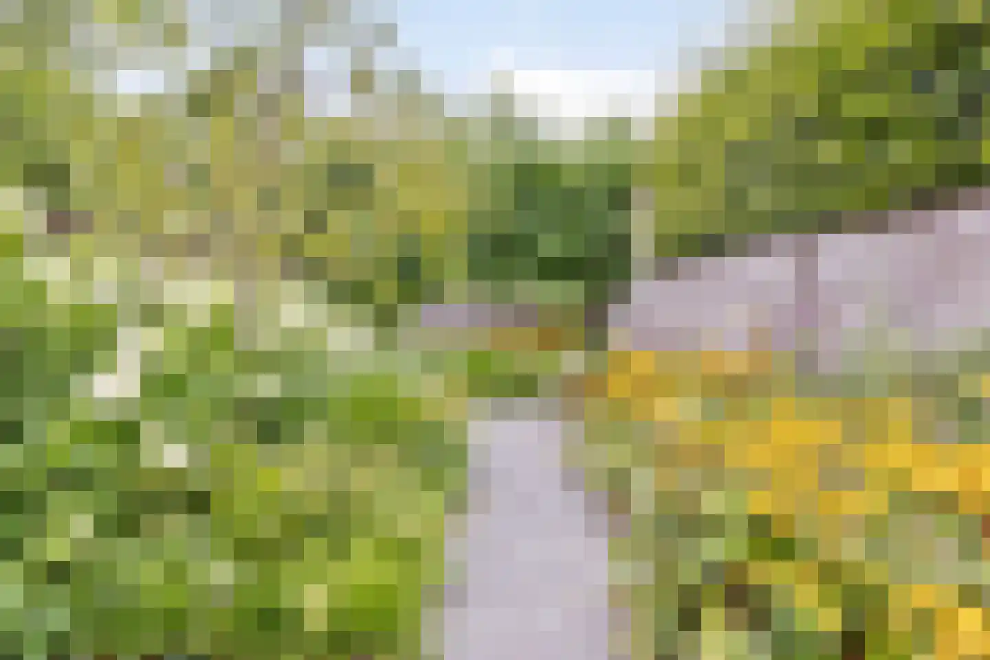 Nieuwstraat 21 Best thumbnail 5