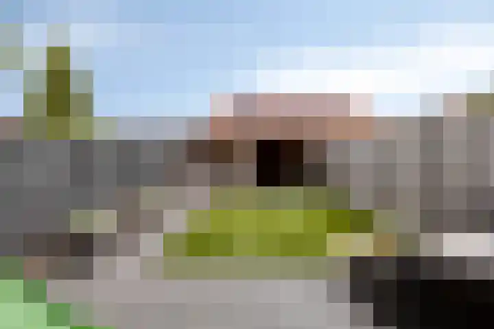 Nieuwstraat 21 Brouwershaven thumbnail 27