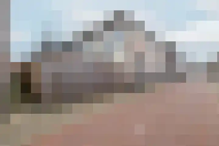 Nieuwstraat 21 Genemuiden thumbnail 33