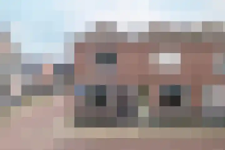 Nieuwstraat 21 Genemuiden thumbnail 41