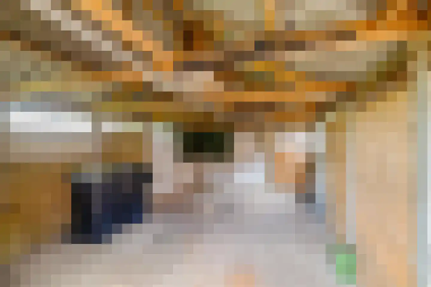 Nieuwstraat 21 Noordwolde thumbnail 11