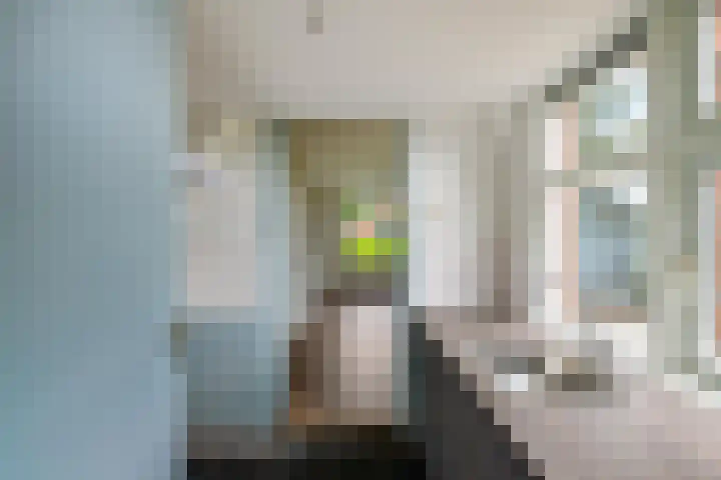 Nieuwstraat 21 Noordwolde thumbnail 24