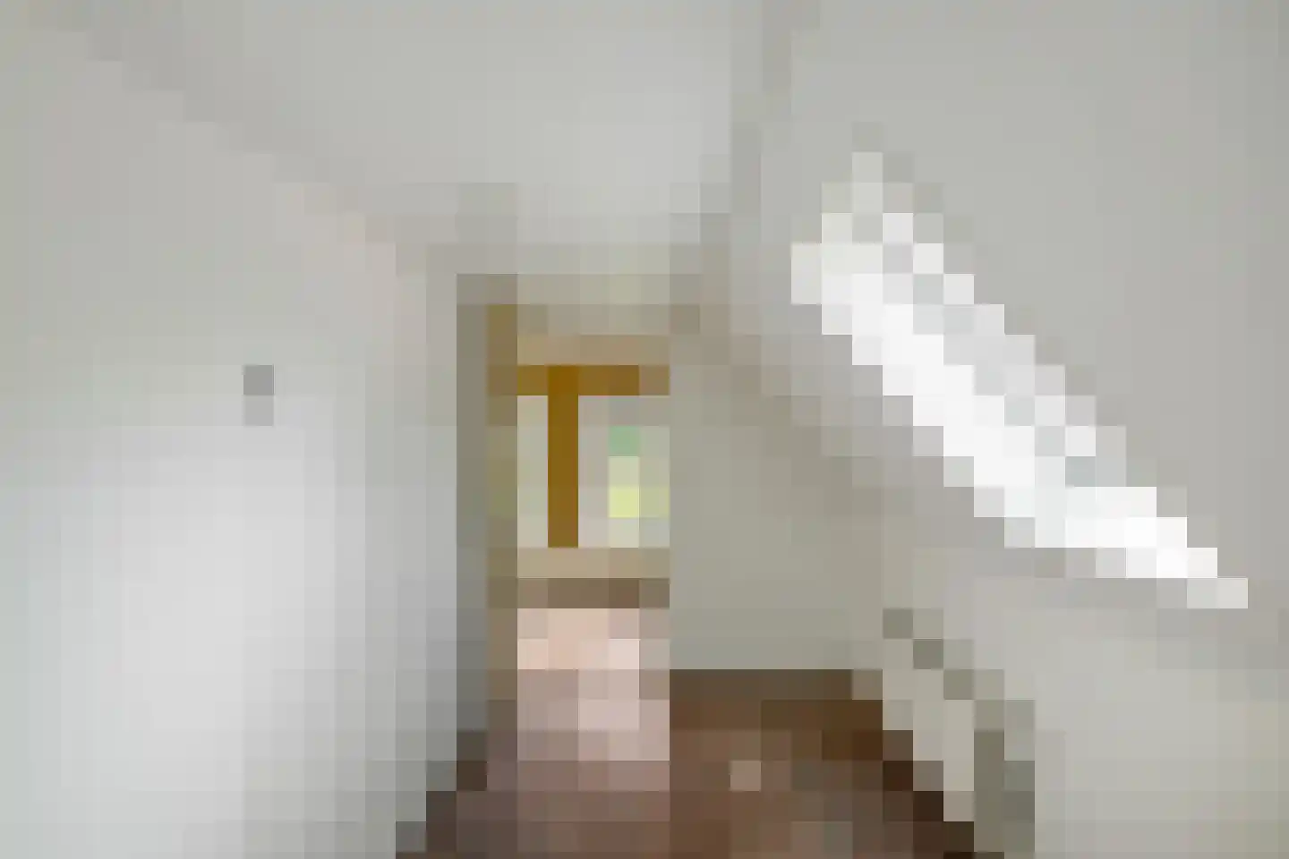 Nieuwstraat 21 Noordwolde thumbnail 34
