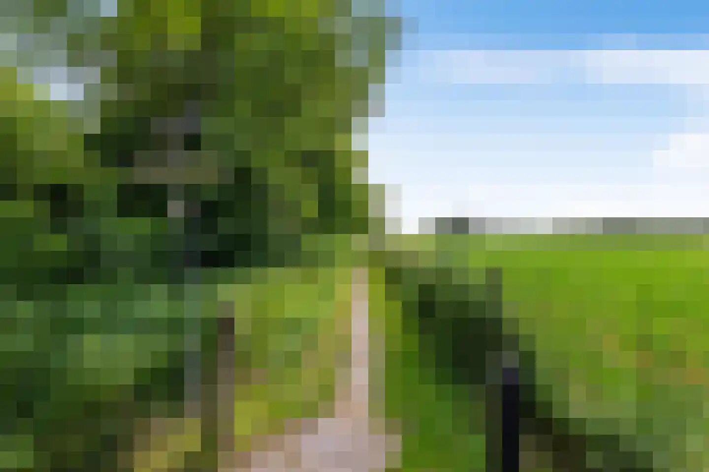 Nieuwstraat 21 Noordwolde thumbnail 5