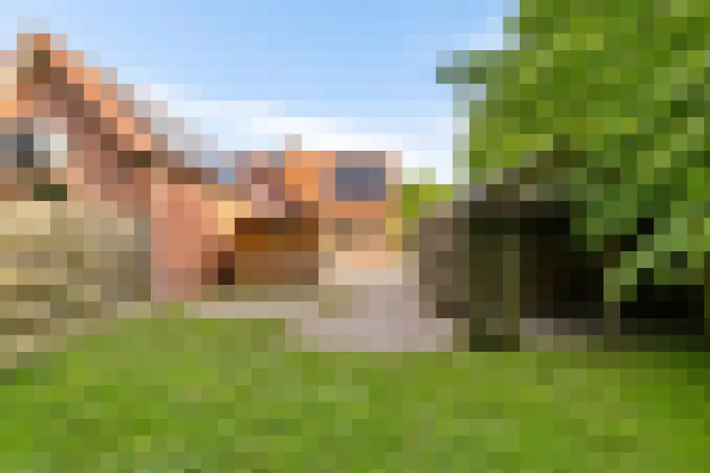 Nieuwstraat 21 Noordwolde thumbnail 8