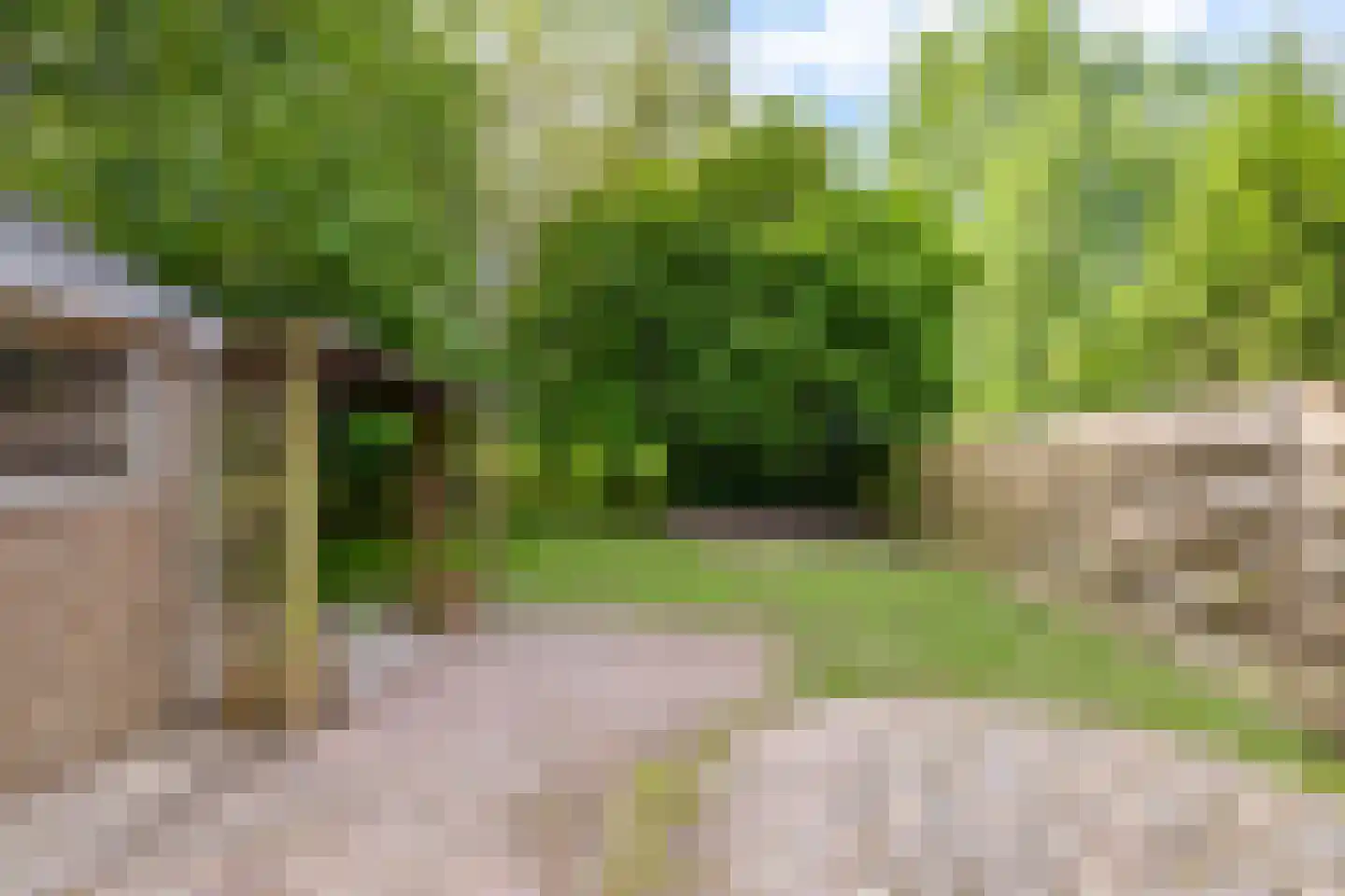 Nieuwstraat 21 Noordwolde thumbnail 9