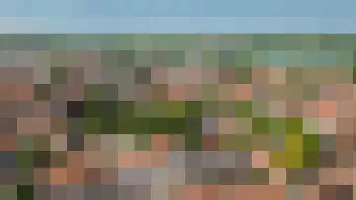 Nieuwstraat 21 Zaltbommel thumbnail 4