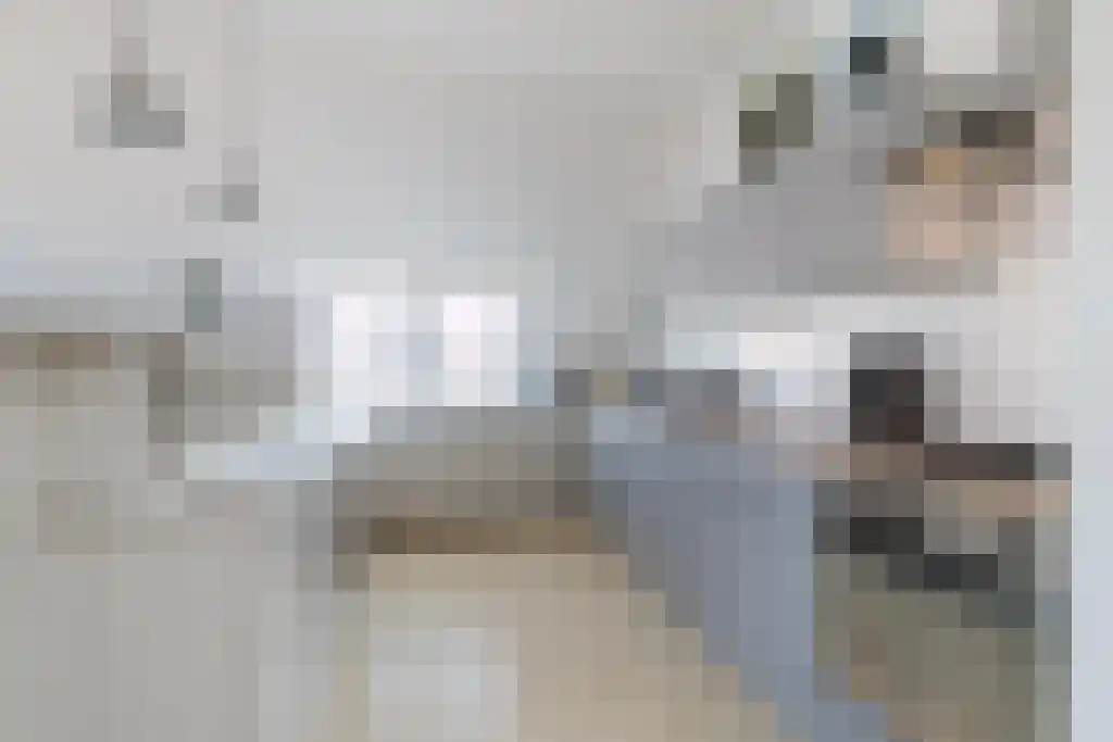 Nieuwstraat 21 Zuidhorn thumbnail 11