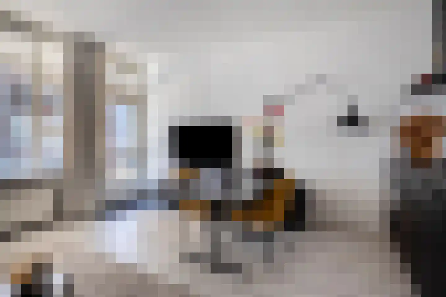 Nieuwstraat 21 Zwolle thumbnail 5