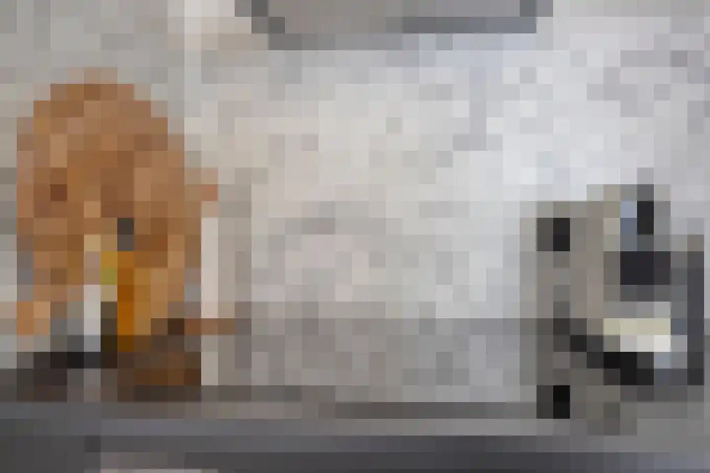 Nieuwstraat 21 Zwolle thumbnail 8