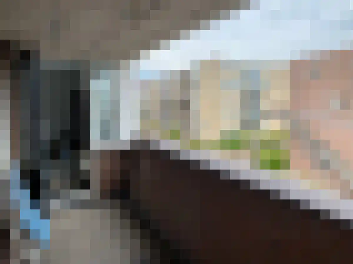 Nieuwstraat 214 Spijkenisse thumbnail 5