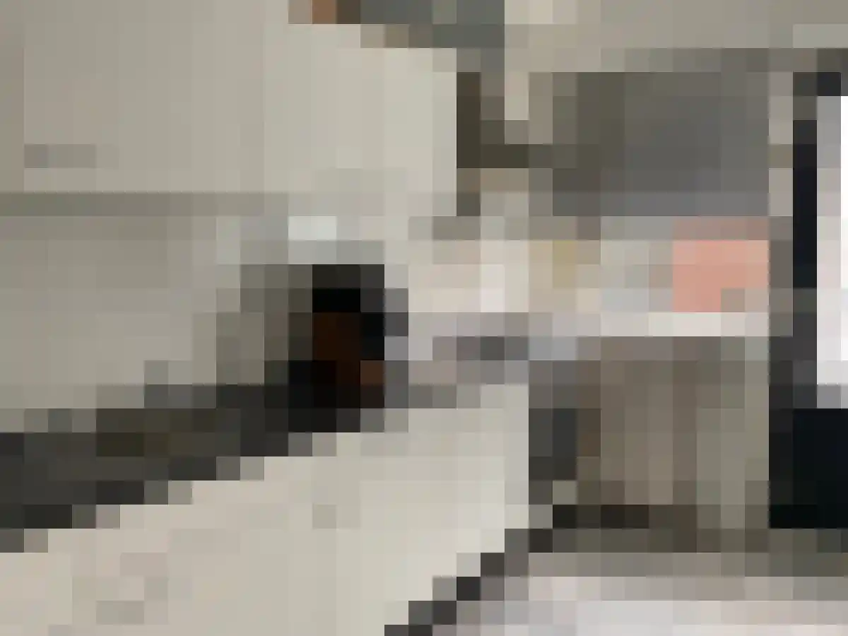 Nieuwstraat 214 Spijkenisse thumbnail 6