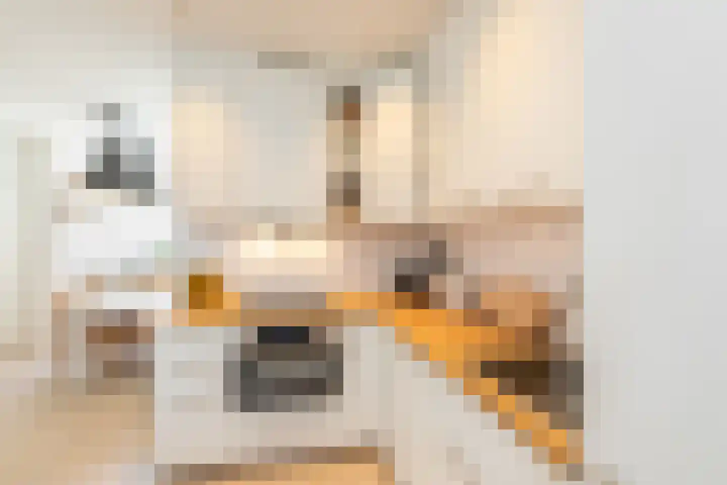 Nieuwstraat 214 Vlissingen thumbnail 11