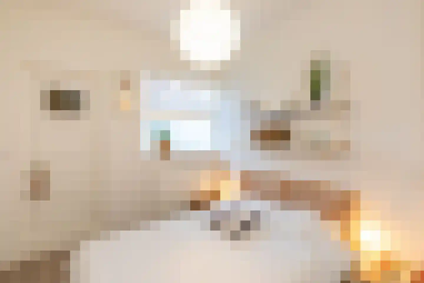 Nieuwstraat 214 Vlissingen thumbnail 19