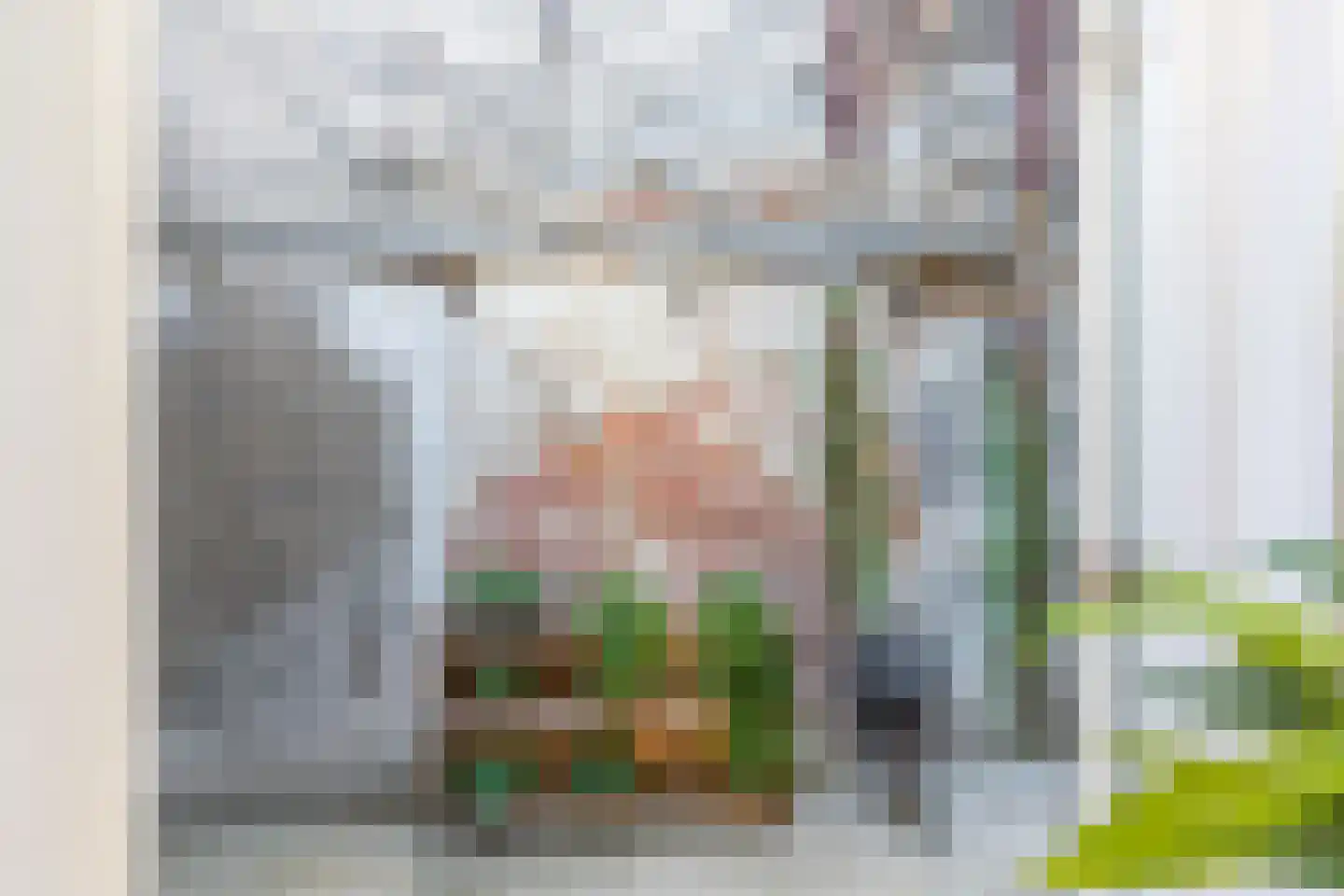 Nieuwstraat 214 Vlissingen thumbnail 5