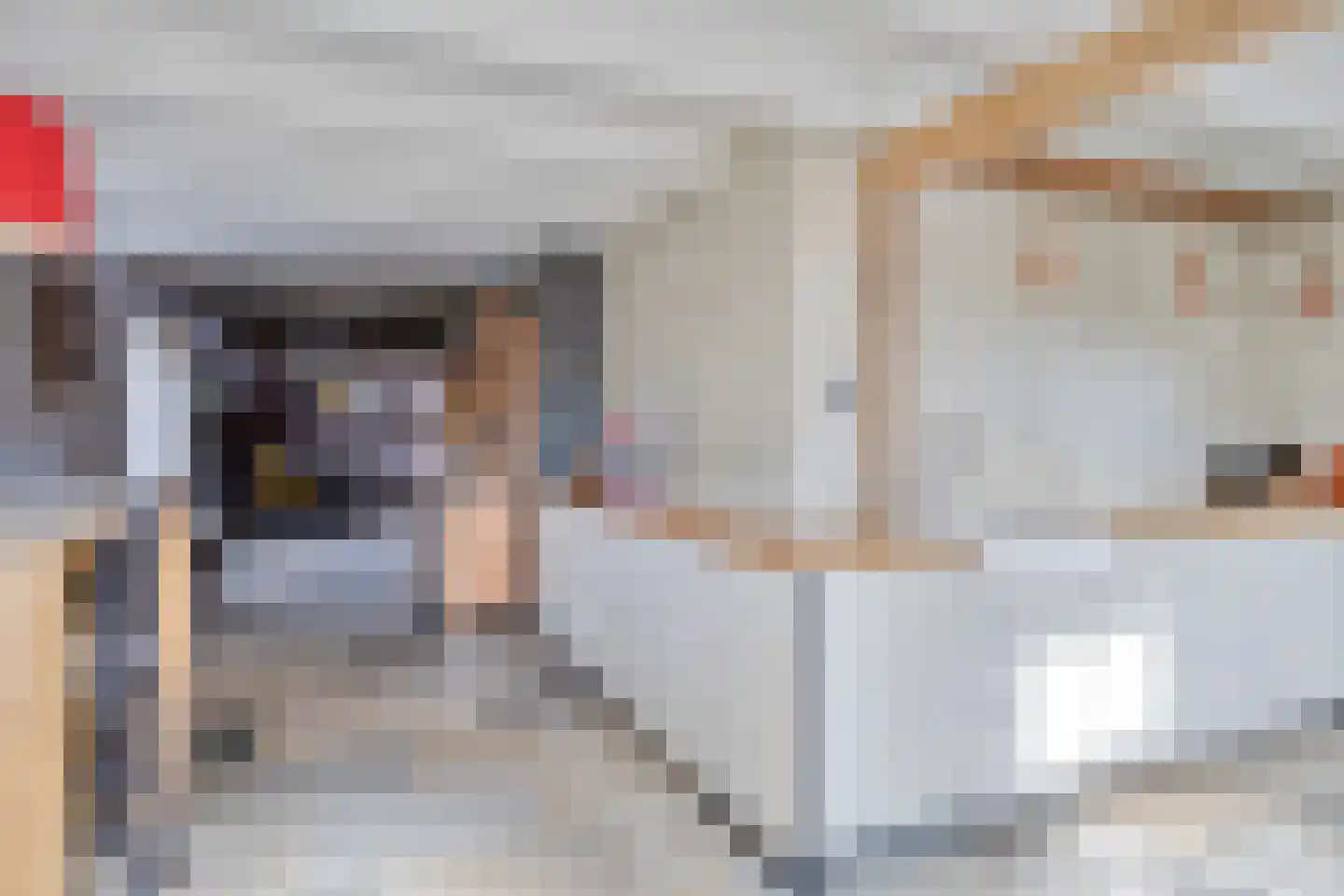 Nieuwstraat 22 Gameren thumbnail 10