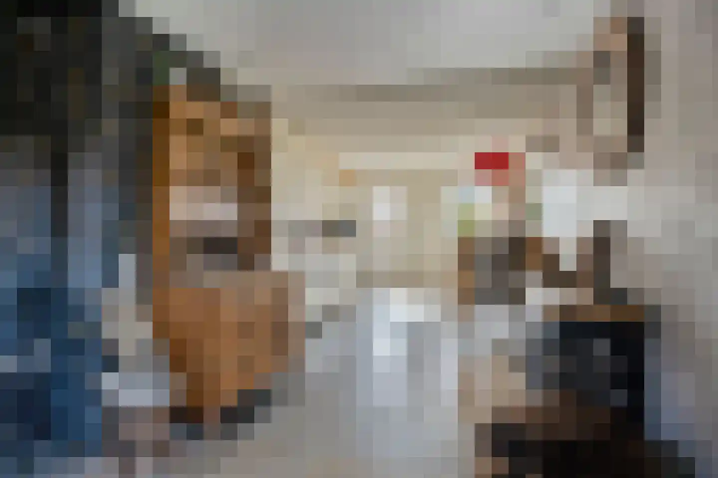 Nieuwstraat 22 Gameren thumbnail 12