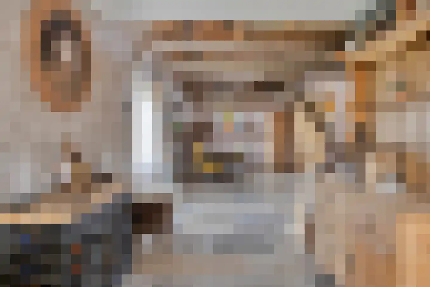 Nieuwstraat 22 Gameren thumbnail 13