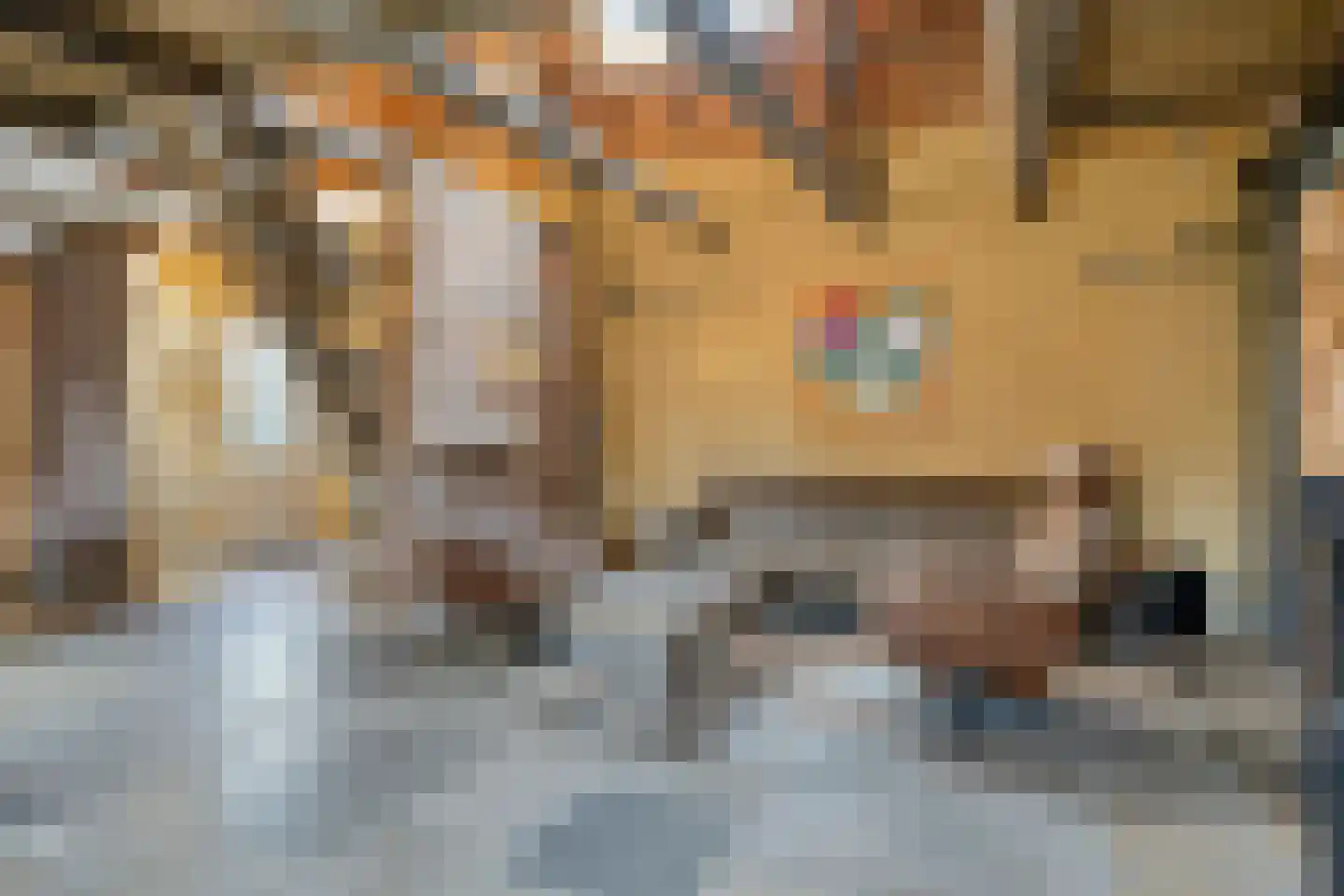 Nieuwstraat 22 Gameren thumbnail 15