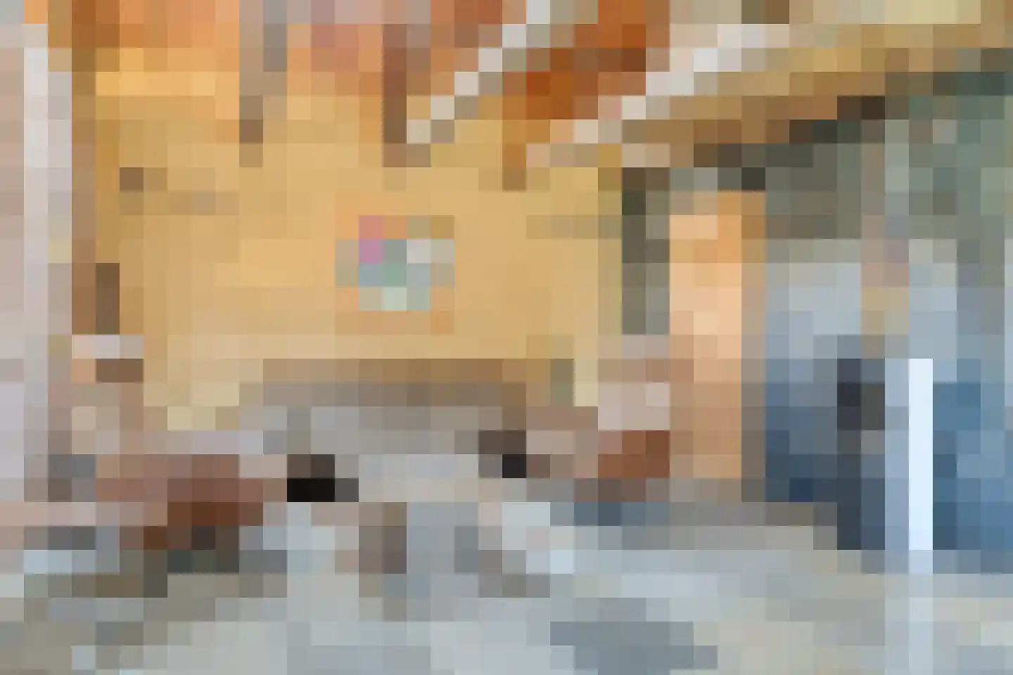 Nieuwstraat 22 Gameren thumbnail 17