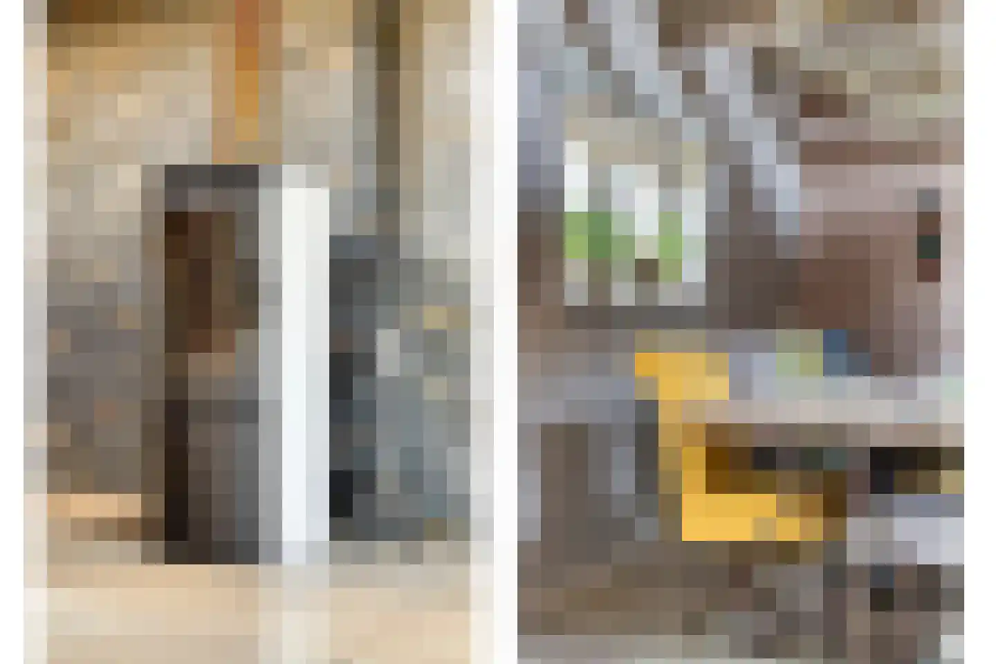 Nieuwstraat 22 Gameren thumbnail 20