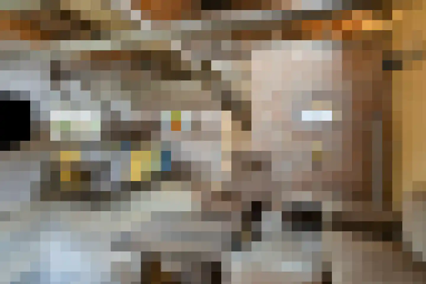 Nieuwstraat 22 Gameren thumbnail 21